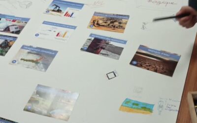 Fresque du climat et du numérique au collège