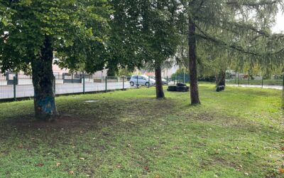 Parrainez un arbre dans la cour !