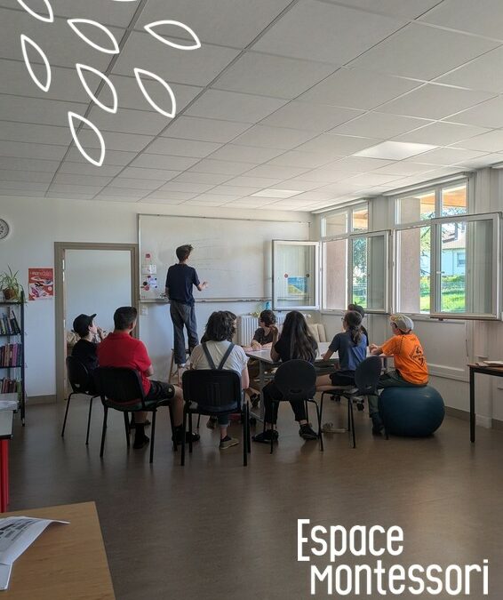 Micro-collège dans le Grand-Nancy : une alternative pour les adolescents en phobie scolaire